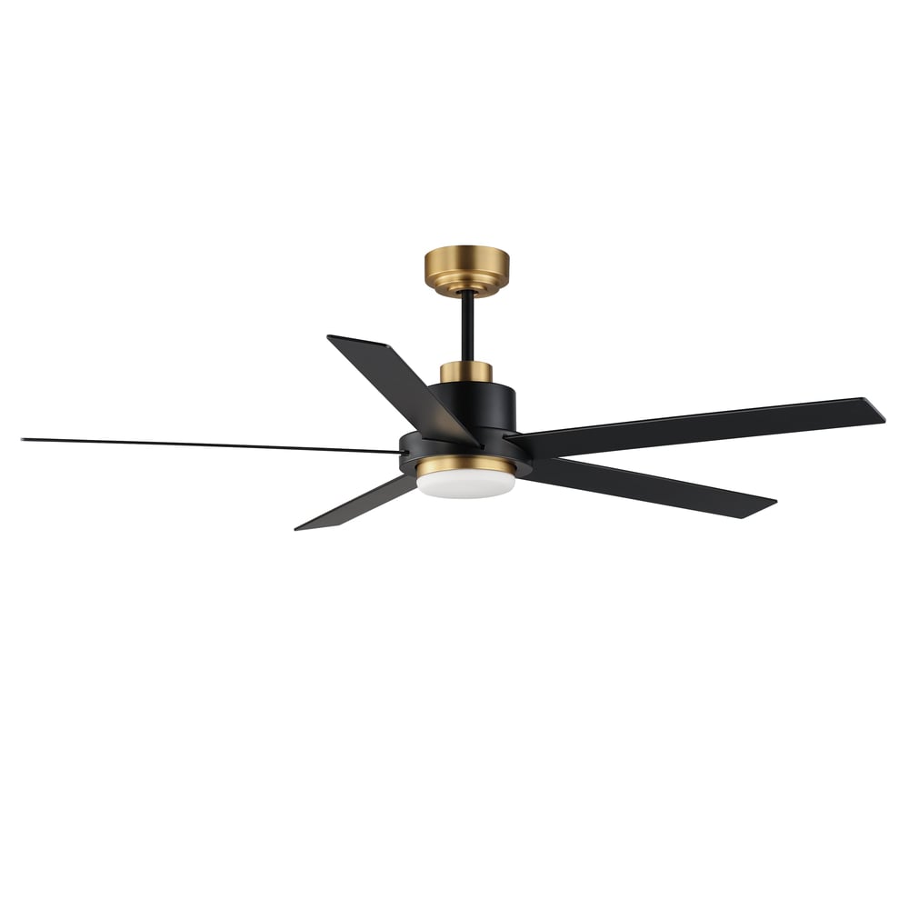 Maxim Lighting Daisy Ceiling Fan with Light, featuring a sleek Black with Gold finish and Steel construction, elegantly designed for modern interiors.