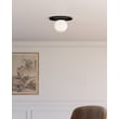 Plume Flush Mount