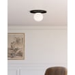 Plume Flush Mount