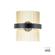 ET2 Chimes Wall Sconce in Satin Brass, stylish steel design for modern home lighting.