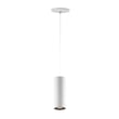 ET2 Dwell Pendant, a sleek aluminum light fixture with a modern design, featuring a white finish and elegant curves, hanging from a ceiling.