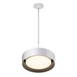 ET2 Echo Pendant Light in Aluminum finish, featuring a sleek, modern design with a White and Black color scheme, hanging elegantly from the ceiling.