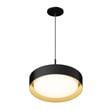 ET2 Echo Pendant Light in Aluminum finish, featuring a sleek, modern design with a Black and Gold color scheme, hanging elegantly from the ceiling.