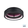 ET2 iCorona Ceiling Light in black finish, made of aluminum, features a sleek, modern design with a circular LED light providing ambient illumination.