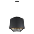 ET2 Phoenix Pendant in Black with Gold finish, made of Aluminum, hanging elegantly with a modern design against a neutral background.