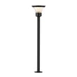 ET2 Alumilux Landscape Fountainhead Path Light in Black, made of durable aluminum, enhances outdoor spaces with elegant illumination.