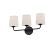 Maxim Lighting Bristol Bath Vanity Light in Black, featuring durable steel and glass for a modern bathroom aesthetic.