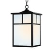 Maxim Lighting Coldwater Outdoor Pendant in Black Aluminum, perfect for stylish outdoor illumination and decor.