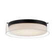 Maxim Lighting Duo Light Flush Mount in Black finish, featuring a sleek steel frame with a modern design, suitable for contemporary interiors.