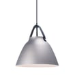 Maxim Lighting's Nordic Pendant in Aluminum features a sleek Black with Brushed Platinum finish, offering a modern touch to any space.