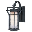 Maxim Lighting Oakville LED E26 Outdoor Hanging Wall Light in Black Oxide finish, crafted from Aluminum, with a sleek, modern design.