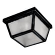 Maxim Lighting Outdoor Essentials Outdoor Ceiling Light in Black finish with Steel and Glass materials, featuring a sleek, modern design.