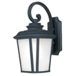 Maxim Lighting Radcliffe Outdoor Hanging Wall Light in Black Oxide finish, made of Aluminum, featuring a classic lantern design with clear glass panels.