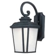 Maxim Lighting Radcliffe LED E26 Hanging Outdoor Wall Light in Black Oxide finish, made of Aluminum, illuminating a patio area."