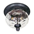 Maxim Lighting Carriage House 2-Light Outdoor Ceiling Mount with ornate detailing and a bronze finish, featuring two clear glass panels.