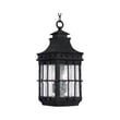 Maxim Lighting Nantucket Outdoor Pendant with a rustic finish, featuring a classic lantern design and clear glass panels for outdoor illumination.