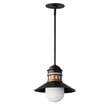 Maxim Lighting Admiralty Outdoor Pendant in Black with Antique Brass, featuring durable aluminum and glass materials.