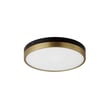 Maxim Lighting Dapper Flush Mount in Black with Antique Brass finish, featuring a sleek steel design with a modern, minimalist aesthetic.