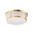 Maxim Lighting Rogue Flush Mount in Satin Brass finish, featuring a sleek Steel frame and modern design, perfect for contemporary interiors.