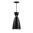 Maxim Lighting Carillon Elongated Mini Pendant in Black with Satin Brass, featuring a sleek aluminum design for modern decor.