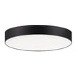 Maxim Lighting Trim Round 120V Ceiling Light with a sleek black finish, crafted from durable polycarbonate and steel, mounted on a white ceiling.