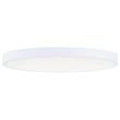 Maxim Lighting Trim Round 120V Ceiling Light with a white polycarbonate diffuser and steel frame, mounted on a ceiling, providing soft, even illumination.