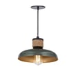 Maxim Lighting Bingham Pendant in June Bug finish, crafted from durable steel, adding elegance to any space.