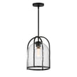 Maxim Lighting Foundry Outdoor Pendant in Black finish, featuring a Steel frame with Glass panels, hanging elegantly against a neutral background.