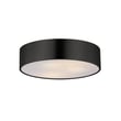 Maxim Lighting Tommy Surface Mount in Black finish, featuring a sleek steel design with a modern aesthetic, perfect for contemporary interiors.