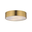 Maxim Lighting Tommy Surface Mount in Satin Brass finish, featuring a sleek, modern design with a steel frame and a round frosted glass shade.