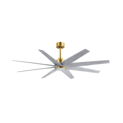 Ariella Indoor/Outdoor Ceiling Fan with Light