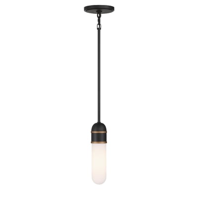 Capsule Mini Pendant