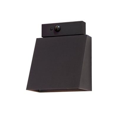 Pathfinder Outdoor Sconce with MSP