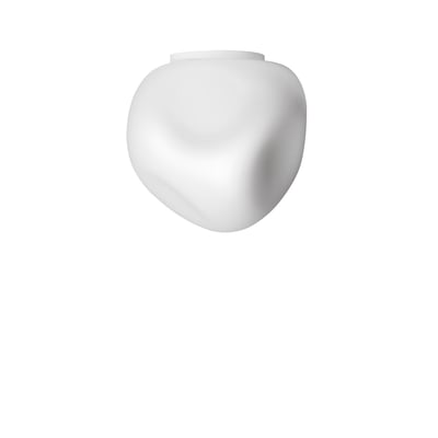 Hoba Wall / Ceiling Light