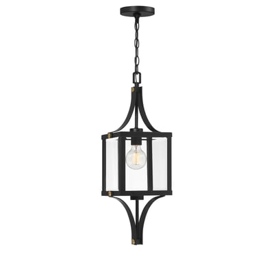 Raeburn Outdoor Hanging Lantern