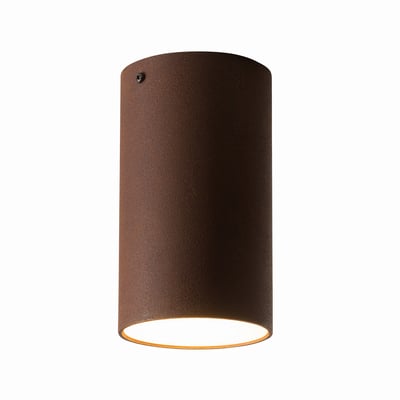 Roest Ceiling Light