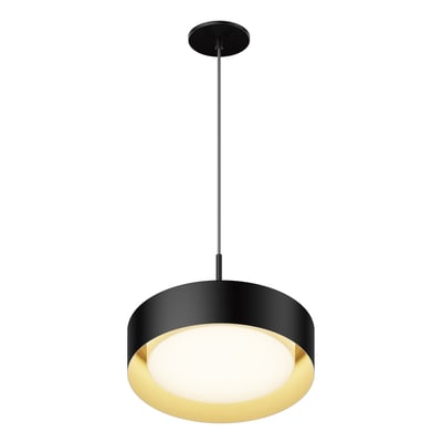 ET2 Echo Pendant Light in Aluminum finish, featuring a sleek Black with Gold design, elegantly hanging to illuminate the space with modern style.