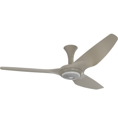 Big Ass Fans Haiku Low Profile Ceiling Fan with Downlight | Lightopia