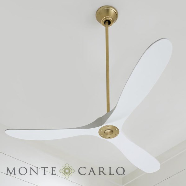 Monte Carlo Fan