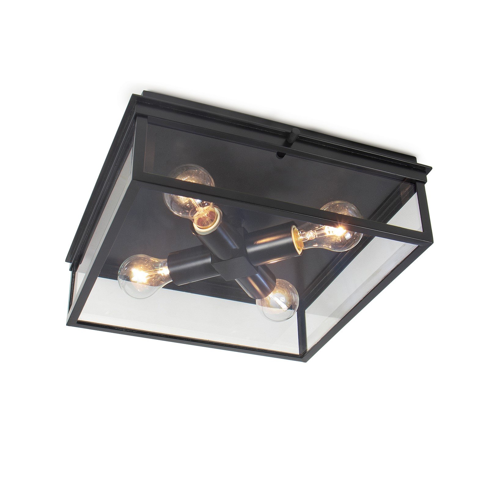 Regina Andrew Sydney Outdoor Ceiling Light Fixture Lightopia