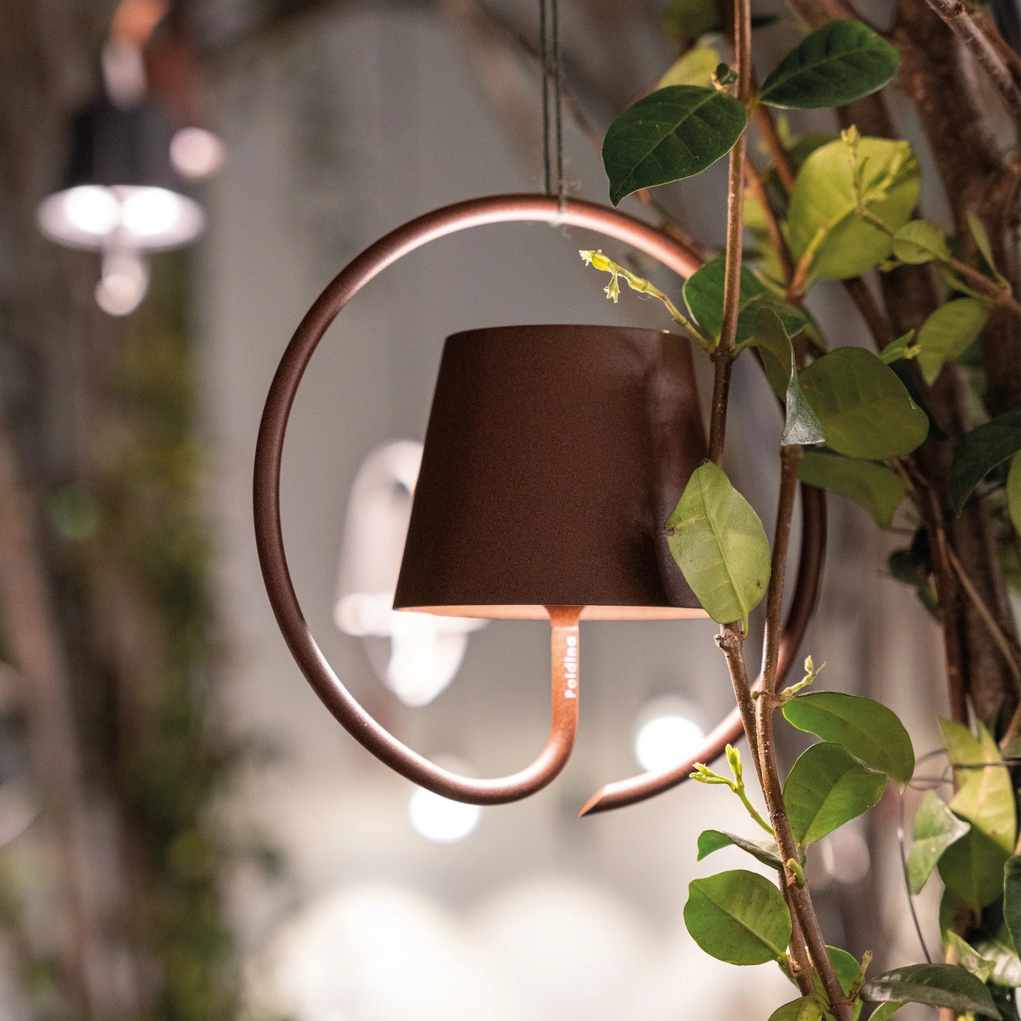 https://image1.lightopia.com/gallery/cms2/LD0686R4_02.jpg